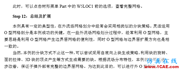 一份非常出色的ICEM CFD上手學習材料icem網格劃分案例圖片11