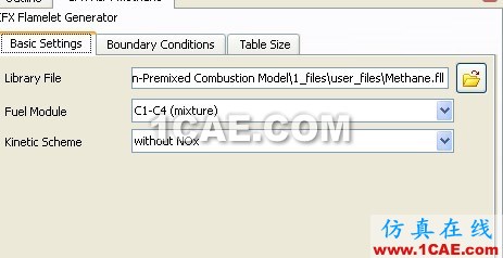 CFX中的Flamelet wbrModel