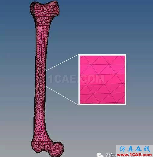 利用HyperWorks實(shí)現(xiàn)對(duì)運(yùn)動(dòng)撞擊情景的精確仿真建模abaqus有限元仿真圖片2