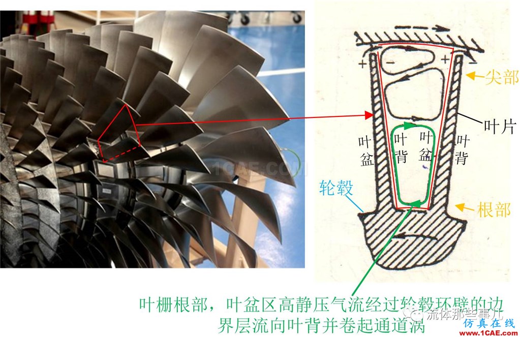 萬里長江，險在荊江：荊江為何如此蜿蜒曲折？【轉(zhuǎn)發(fā)】fluent結果圖片9