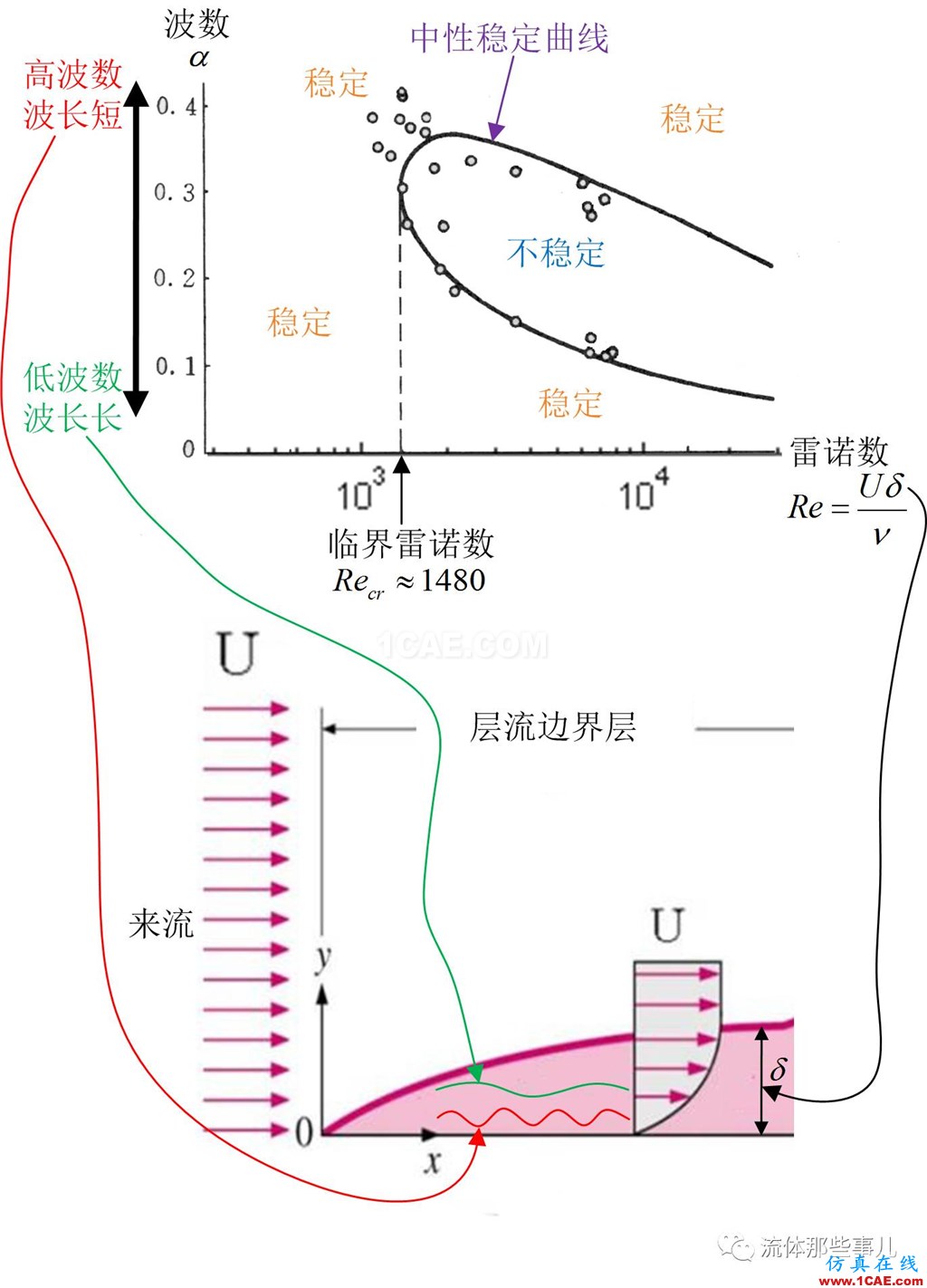 層流為何會轉(zhuǎn)變?yōu)橥牧鳎和袪柮?施利希廷波的故事fluent圖片5