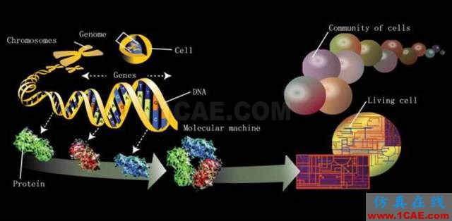 【資訊】強(qiáng)勢(shì)圍觀！Science公布的125個(gè)科學(xué)前沿問題!圖片61