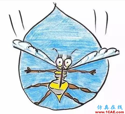 為什么蚊子永遠不會被雨砸死？千萬別被孩子問住了！fluent流體分析圖片12